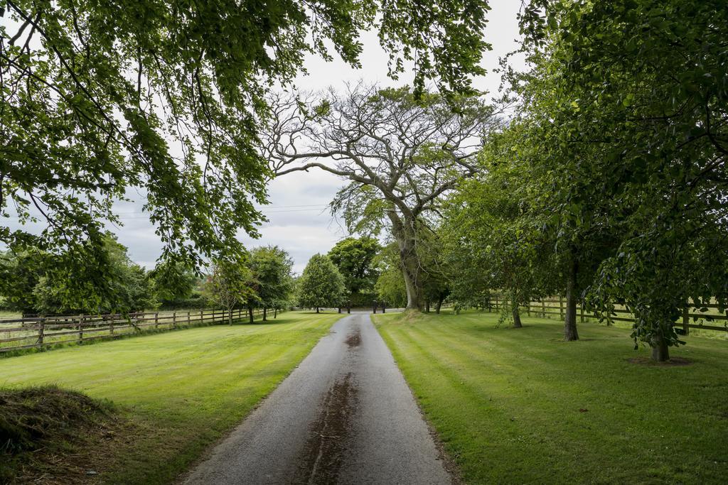 College Hill House Bed & Breakfast Slane Bagian luar foto