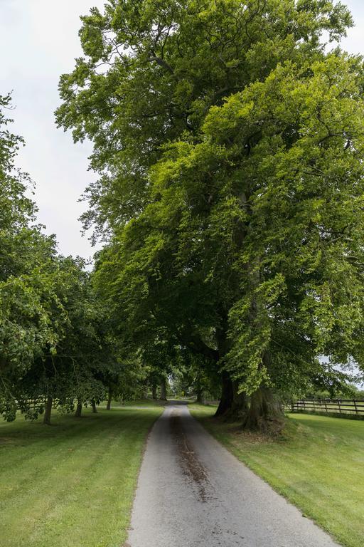 College Hill House Bed & Breakfast Slane Bagian luar foto