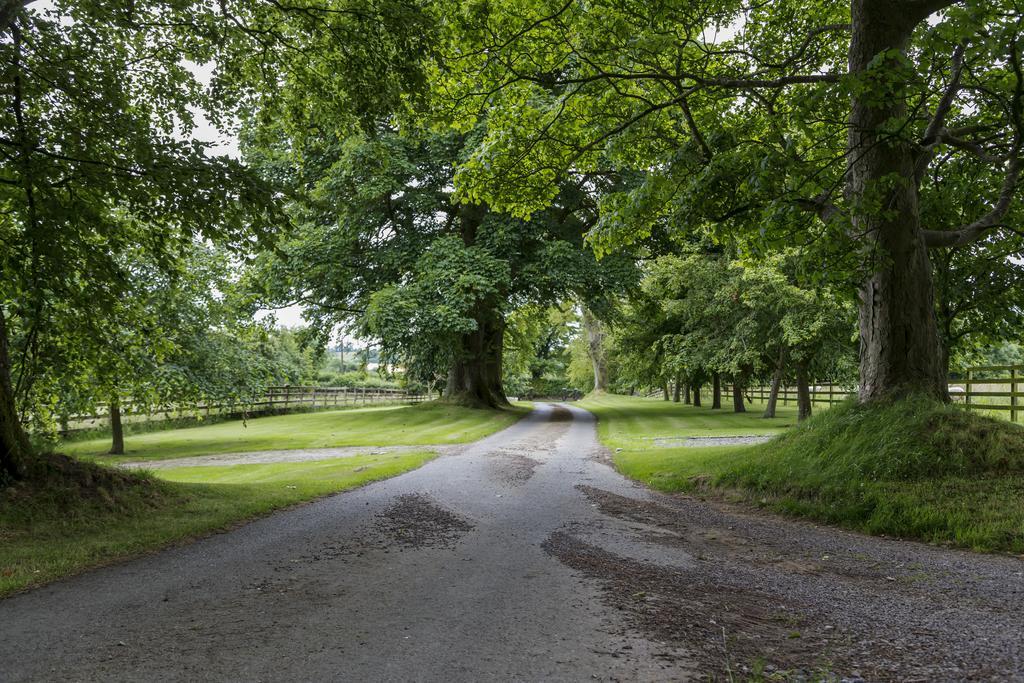College Hill House Bed & Breakfast Slane Bagian luar foto